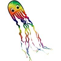 Los mejores  - CIM Cometa de una cuerda - Draki RAINBOW - por niños con edad a partir de 3 años - 25x160cm - Cordón incluidos